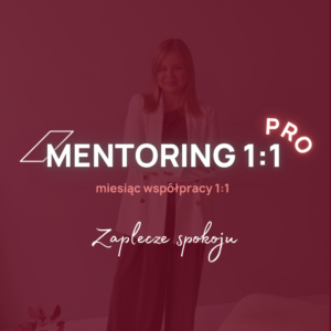 Mentoring 1:1 PRO - Zaplecze spokoju