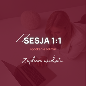 Sesja 1:1 - Zaplecze Mindsetu