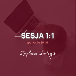 Sesja 1:1 - Zaplecze strategii